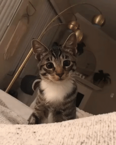 015f97f319a577bfebc765a682ef0e3c_273238_1572592762