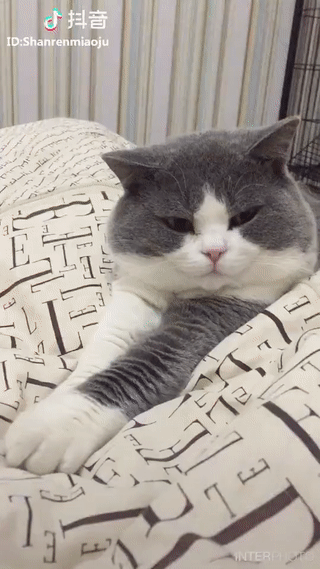 063ae332cdbcd122ab2b7b973988b413_187984_1575574174