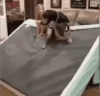 b98f13085ca88da5844cf88572c8c105_303971_1572694145