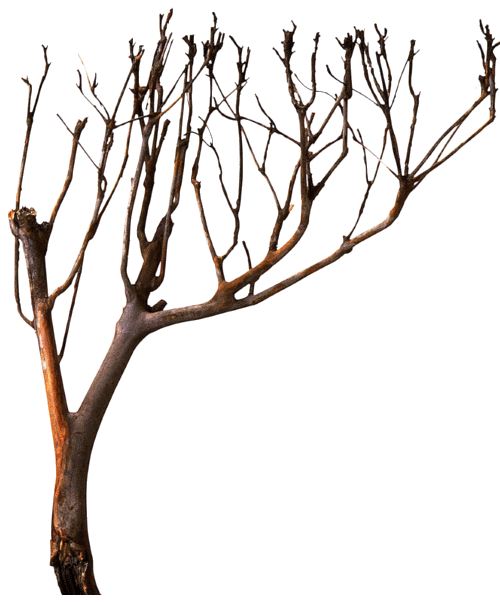 194