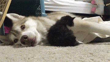 1bc75142bad25a02c733e17a958a14d0_276989_1576162392