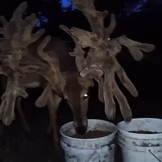 c786bb3939a28a8db21dcd7466d144c5_342249_1576102242