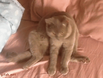 14927746037866_mos_24