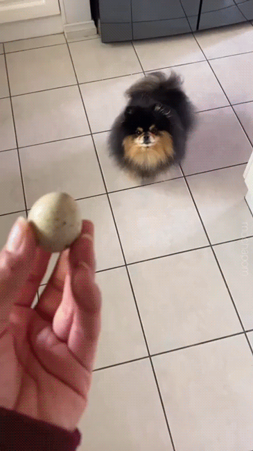 39985137592226_mos_10