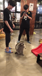 51039520891658_mos_08