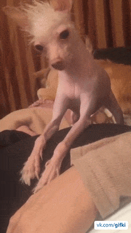 0e1b07691b2633e72b866760a2b8c99b_170758_1576010706