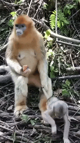 67159950115138_mos_06