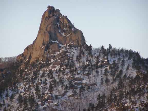 Племянник_2