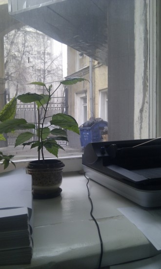 вид из окошка