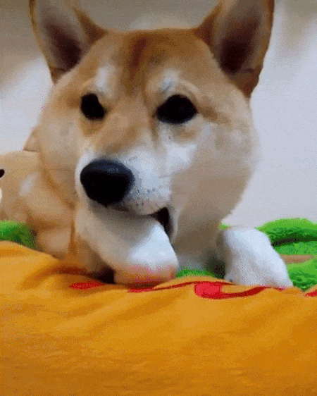 094ce6898bda2257c89dcaf6676cb9e4_273238_1495268691