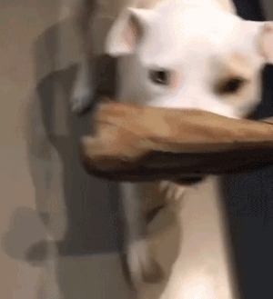 e683242a6bd0570e29221fefccc5ec62_273238_1495268706