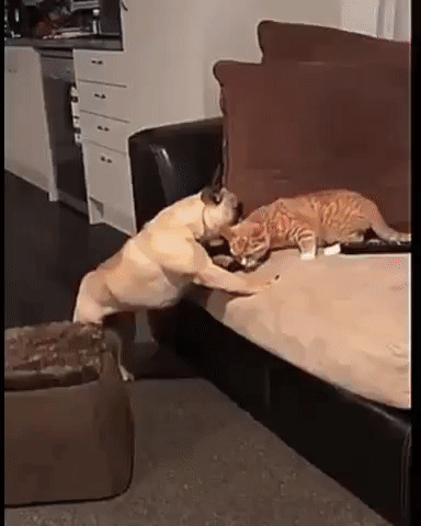 f0bd2d860632b05808ffc3e9f4170f47_303971_1572980095