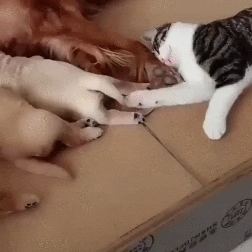 a6ce402f168a6d40c5ed6a68998ae140_187984_1577291193