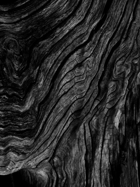 7070c419b89dd944a4f6dd79ba9930e2--black-wood-texture-dark-texture