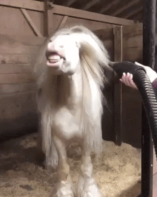 c308835e0c2d66ef74966befeaa9aa92_342600_1577732600