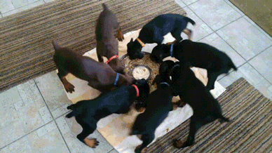 a376b7c91adf90b874b8f13713ee3cf7_273238_1495960462