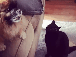 48697a8c2414e0efde8474e70d30574e_273238_1495962407