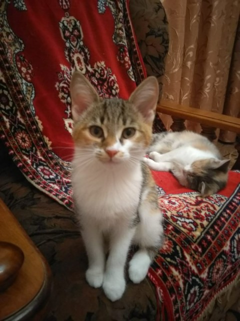 IMG-20191006-WA0039