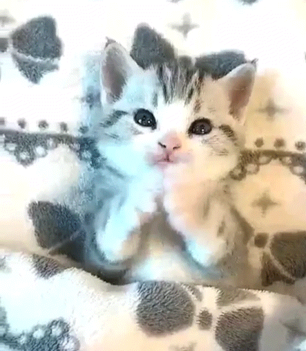 D84117B6-B8E6-41D3-93FB-0C204933B11F