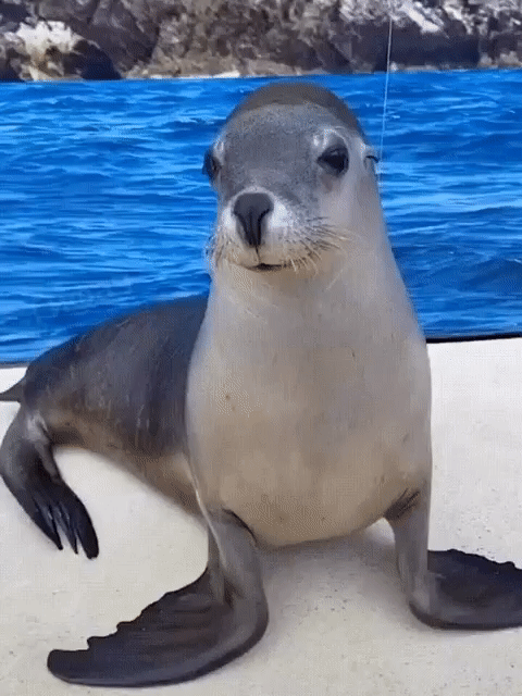 8eb1ba8c5755f6350e3e3fa3760d8776_295819_1579808320