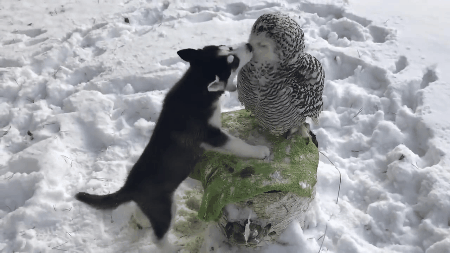 96e5816fa42c8ce263cce4d1f40fbb9d_38882_1579341497