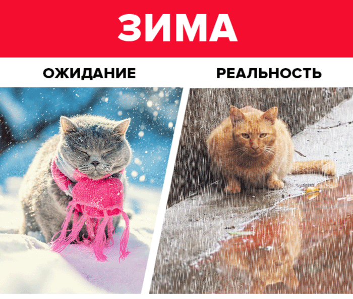 https://s01.yapfiles.ru/files/2326353/6.gif