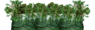 jungle_forest_by_digitalwideresource_d7cr3f1pre_yapfiles.ru