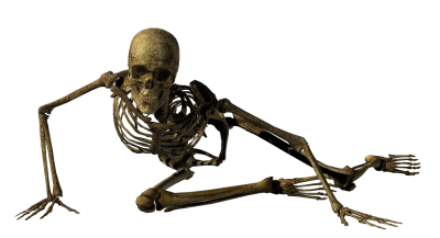 5cd171cdfc135467dda4c32c093ea727_yapfiles.ru