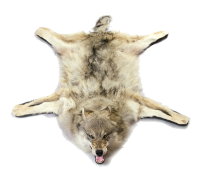 vilks_yapfiles.ru_yapfiles.ru