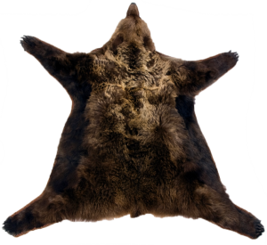 hello_html_5abb5f42_yapfiles.ru