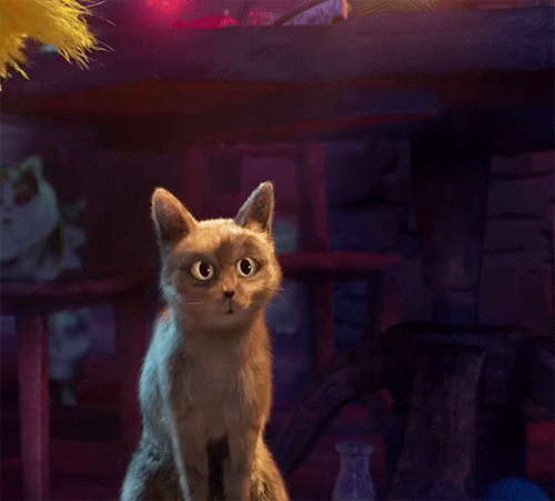 HiddenSillyBlueandgoldmackaw-size_restricted