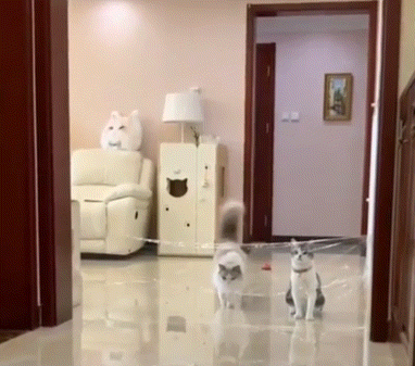 C92F076F-E3BA-4148-A8F9-F2C899AFC591