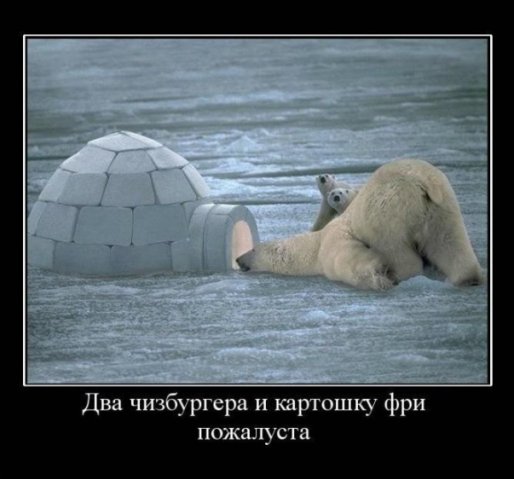 x_bfd347b7