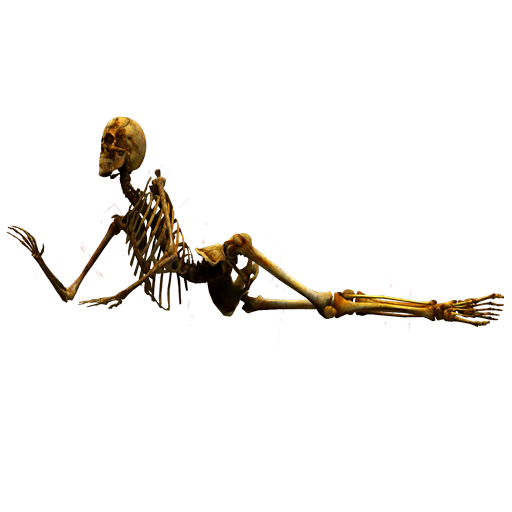 Skeleton_19_yapfiles.ru