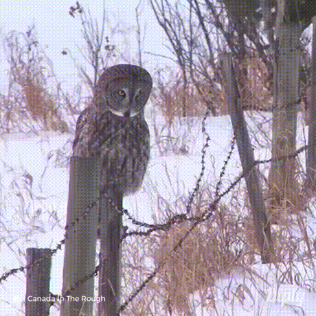 13140545653405_mos21