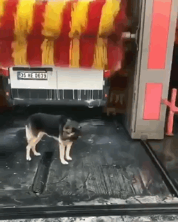 17762822029601_mos06