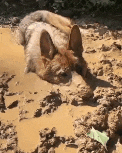 21146860547818_mos08