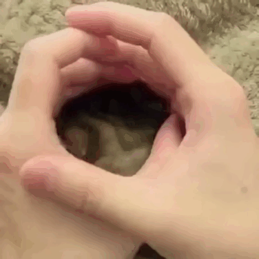 31863876848458_mos18