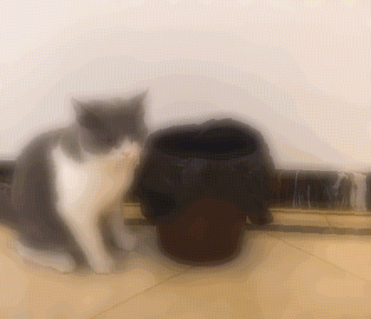 36516425221773_mos13