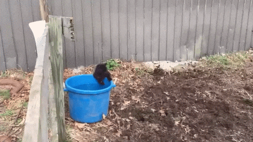 42764866982157_mos07