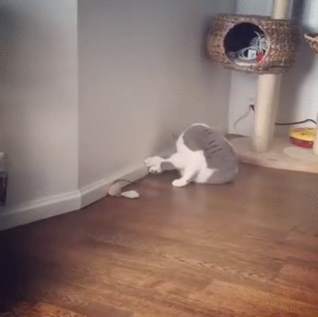 58268617775978_mos24