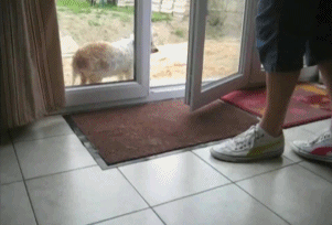 59822644190371_mos17