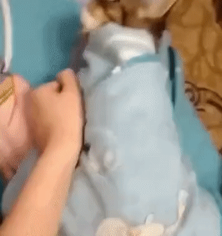 63455213463836_mos16