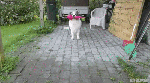 72771058838407_mos09