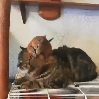 89116668915793_mos14