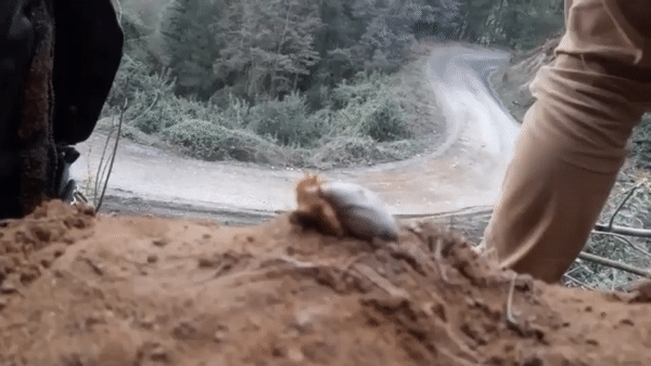 20601073061466__(20)