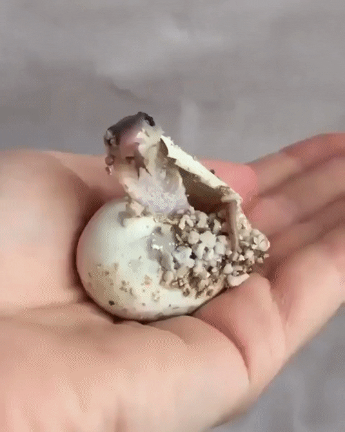 28991603611638__(10)