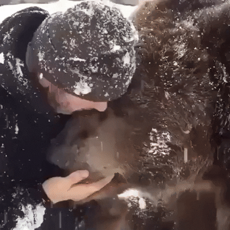 56291913115136__(12)