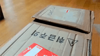 92081711042592_mos10