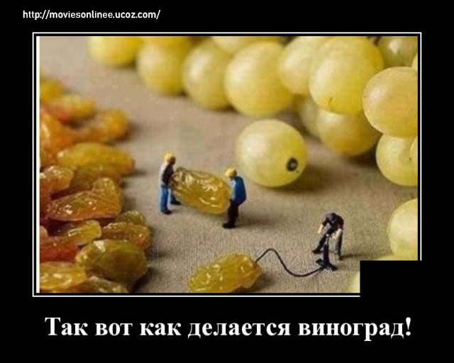 https://s01.yapfiles.ru/files/2399989/1592229371_demotivatory_19.jpg